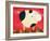 Pig Newton-Casey Craig-Framed Art Print