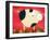 Pig Newton-Casey Craig-Framed Art Print