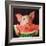 Pig Out-Lucia Heffernan-Framed Art Print