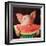 Pig Out-Lucia Heffernan-Framed Art Print