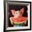 Pig Out-Lucia Heffernan-Framed Art Print