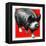 Pig Portrait-C.R. Patterson-Framed Premier Image Canvas