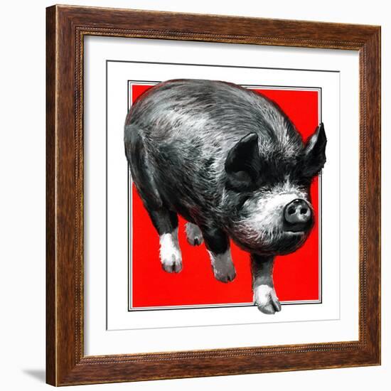 Pig Portrait-C.R. Patterson-Framed Giclee Print
