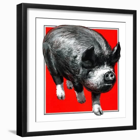 Pig Portrait-C.R. Patterson-Framed Giclee Print