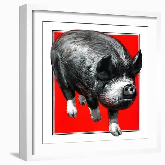 Pig Portrait-C.R. Patterson-Framed Giclee Print