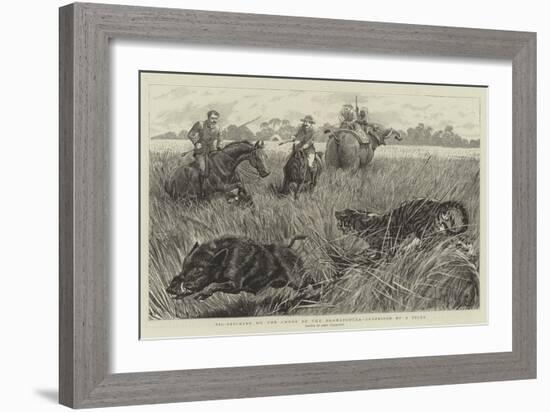 Pig Sticking on the Churs of the Bramapootra, Surprised by a Tiger-John Charlton-Framed Giclee Print