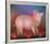 Pig with Bow-Igor Galanin-Framed Limited Edition