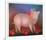 Pig with Bow-Igor Galanin-Framed Limited Edition