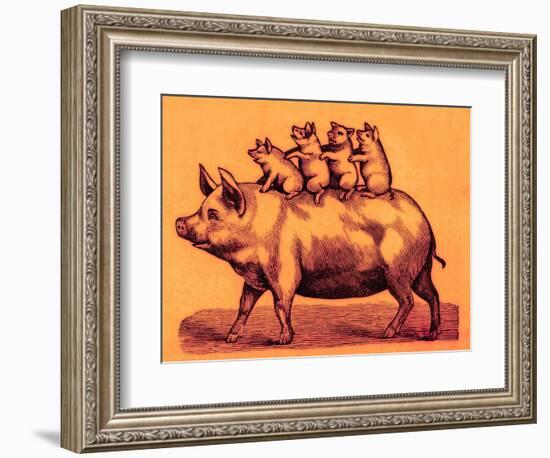 Pig with its Piglets, Illustration from 'Cole's Funny Picture Book' (Digitally Enhanced Image)-English-Framed Premium Giclee Print