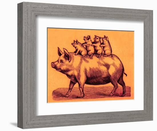 Pig with its Piglets, Illustration from 'Cole's Funny Picture Book' (Digitally Enhanced Image)-English-Framed Premium Giclee Print