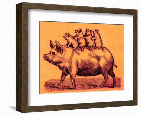 Pig with its Piglets, Illustration from 'Cole's Funny Picture Book' (Digitally Enhanced Image)-English-Framed Premium Giclee Print