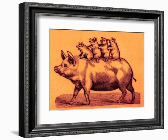 Pig with its Piglets, Illustration from 'Cole's Funny Picture Book' (Digitally Enhanced Image)-English-Framed Premium Giclee Print