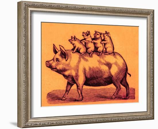 Pig with its Piglets, Illustration from 'Cole's Funny Picture Book' (Digitally Enhanced Image)-English-Framed Giclee Print