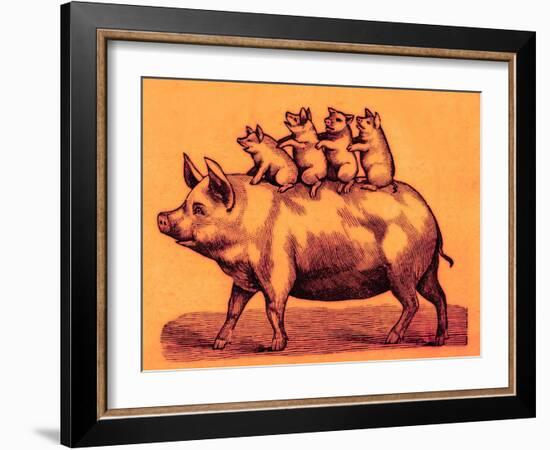 Pig with its Piglets, Illustration from 'Cole's Funny Picture Book' (Digitally Enhanced Image)-English-Framed Giclee Print