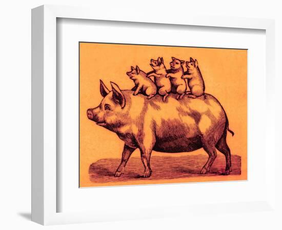 Pig with its Piglets, Illustration from 'Cole's Funny Picture Book' (Digitally Enhanced Image)-English-Framed Giclee Print
