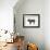 Pig Words-Jace Grey-Framed Art Print displayed on a wall