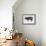 Pig-null-Framed Art Print displayed on a wall