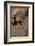 Pig-null-Framed Photographic Print