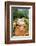 Pig-null-Framed Photographic Print