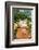 Pig-null-Framed Photographic Print