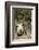 Pig-null-Framed Photographic Print