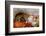 Pig-null-Framed Photographic Print