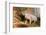 Pig-null-Framed Photographic Print