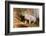 Pig-null-Framed Photographic Print