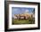 Pig-null-Framed Photographic Print