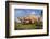 Pig-null-Framed Photographic Print