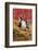 Pig-null-Framed Photographic Print