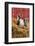 Pig-null-Framed Photographic Print