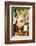 Pig-null-Framed Photographic Print