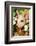 Pig-null-Framed Photographic Print