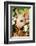 Pig-null-Framed Photographic Print