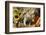 Pig-null-Framed Photographic Print