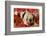 Pig-null-Framed Photographic Print