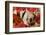 Pig-null-Framed Photographic Print