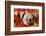 Pig-null-Framed Photographic Print