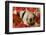 Pig-null-Framed Photographic Print