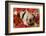 Pig-null-Framed Photographic Print