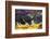 Pig-Lynn M^ Stone-Framed Photographic Print