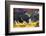 Pig-Lynn M^ Stone-Framed Photographic Print