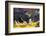 Pig-Lynn M^ Stone-Framed Photographic Print