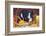 Pig-Lynn M^ Stone-Framed Photographic Print