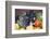 Pig-Lynn M^ Stone-Framed Photographic Print