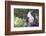 Pig-Lynn M^ Stone-Framed Photographic Print