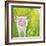 Pig-Michelle Faber-Framed Giclee Print