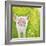 Pig-Michelle Faber-Framed Giclee Print