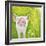 Pig-Michelle Faber-Framed Giclee Print